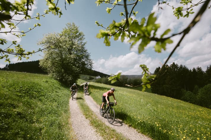 On the gravel paths around Baiersbronn, you can quickly cover distance on a gravel bike