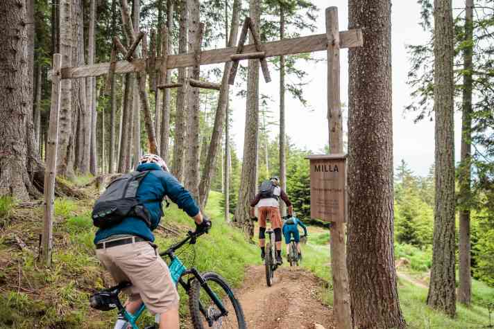 The Milla Trail starts gently, but then becomes more lively with every bend.