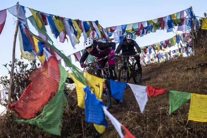 bike/milner-darjeeling-2_f00105286812fab7dd8b984851a0a424