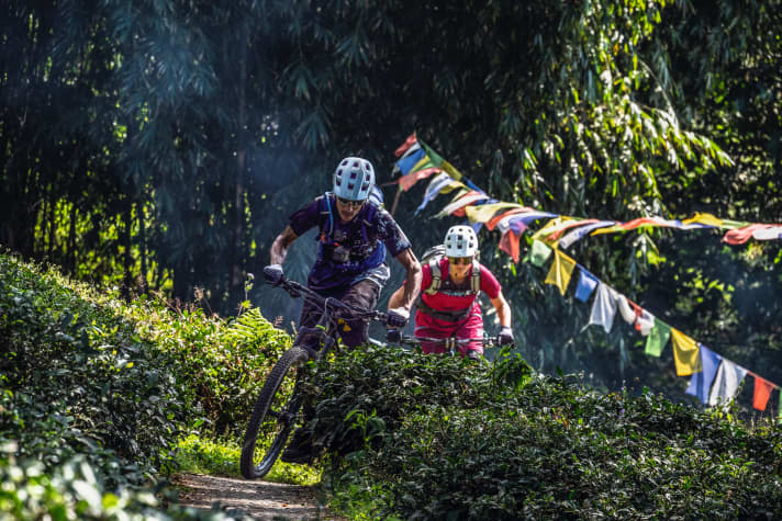 Die Trails in den Teeplantagen schlagen überraschende Richtungswechsel ein und werfen so manche Wurzel auf. Vinay Menon und Steffi Marth wird hier nicht langweilig.
