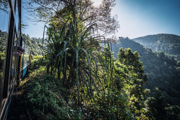 46 Kilometer in fünf Stunden: Eilig darf man es mit der DHR nicht haben, aber die Unterhaltung vor den Fenstern ist großartig.