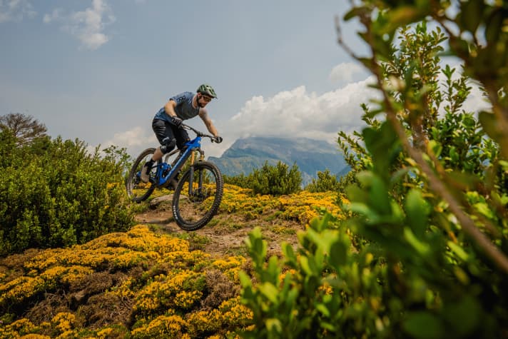 Great suspension, good feeling of safety: With the Neat you can also leave the brakes open on the downhill.