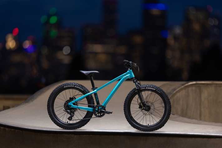 The Giant STP 20 FS with its suspension fork and massive tyres is designed to provide safety and riding fun on the first root trails.