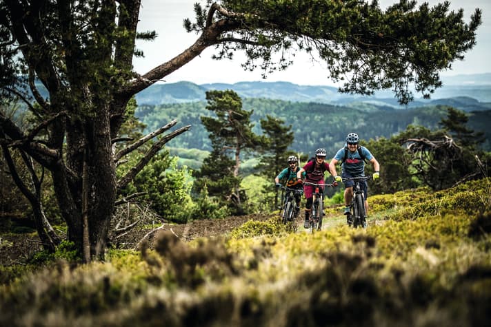 Im Norden Hessens dürfen sich Mountainbiker auf das größte Trailnetz des Kontinents freuen.