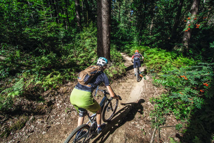Die vier Trails in Nijmegen sind besonders abwechslungsreich.