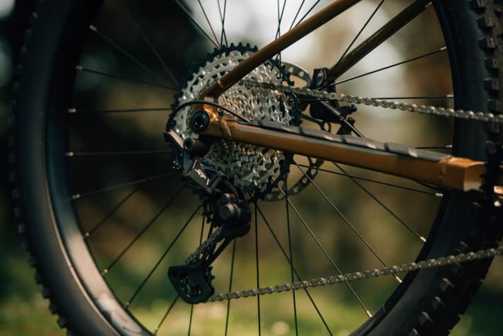 A cassette with a wide spread (11-51 teeth) and twelve gears is fitted across the board. This allows you to get up steep climbs, regardless of your budget.