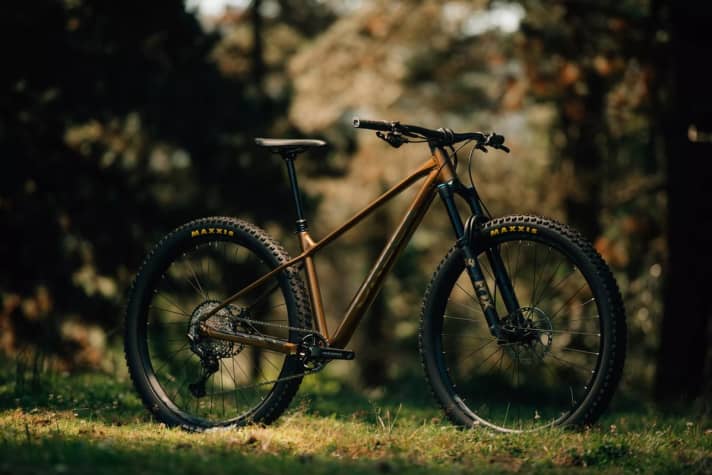 The top model has a Fox 34 Performance with 140 millimetres of travel at the front.