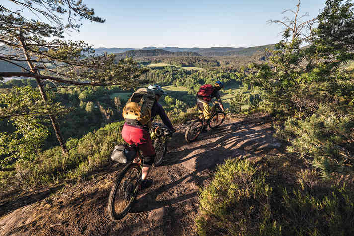Man bekommt die Koordinaten des Trekking-Schlafplatzes im Wald aufs Handy geschickt: Bikepacking im Pfälzerwald.