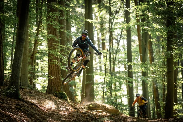 Im Herbst wird das sonst dichte Laub am Banzer Berg etwas lichter. Dann erkennt man die vielen Details der Trails auch besser.