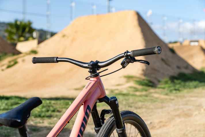 Extra für den Dirt-Einsatz ausgelegte Parts von Sixpack runden das Propain Trickshot Dirtbike ab.