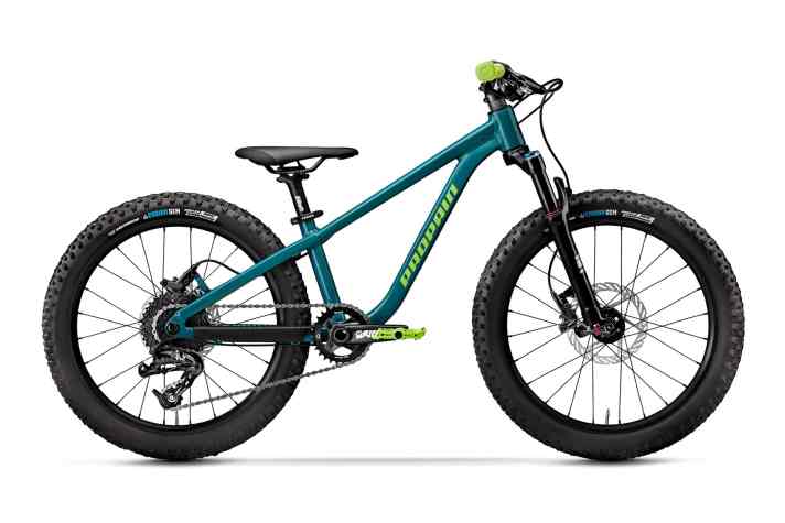 The Propain Dreckspatz 3 for 999 euros fulfils even small children's desire for a trail hardtail.