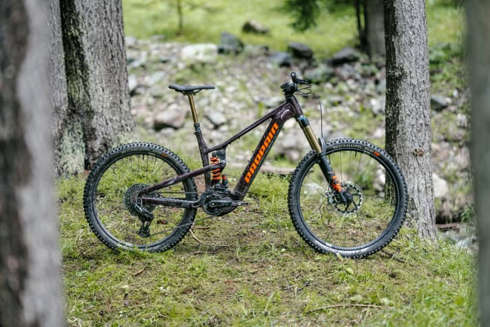 Propain Ekano 2 AL Goldrush, 9000 Euro