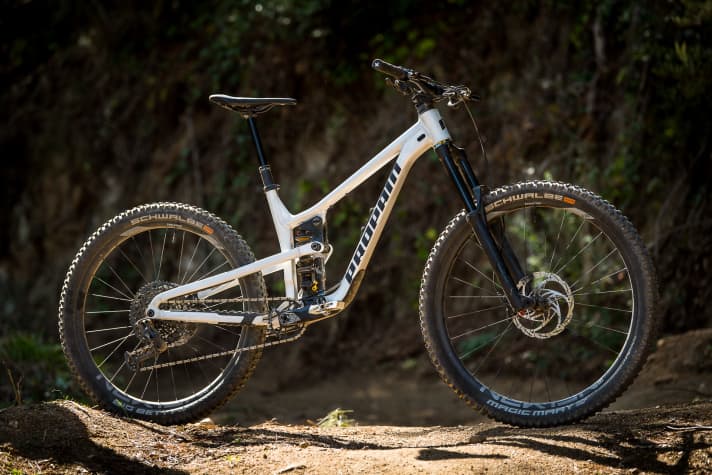 Propain is renewing both the aluminium and the carbon frame of the Tyee in one go.