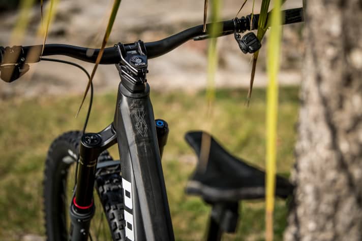 Neue Grafiken verleihen dem Propain Tyee für 2023 einen frischen Look.