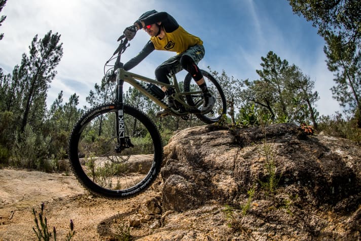 Für den harten Enduro-Einsatz verwendet Propain ausschließlich starke Edelstahllager.