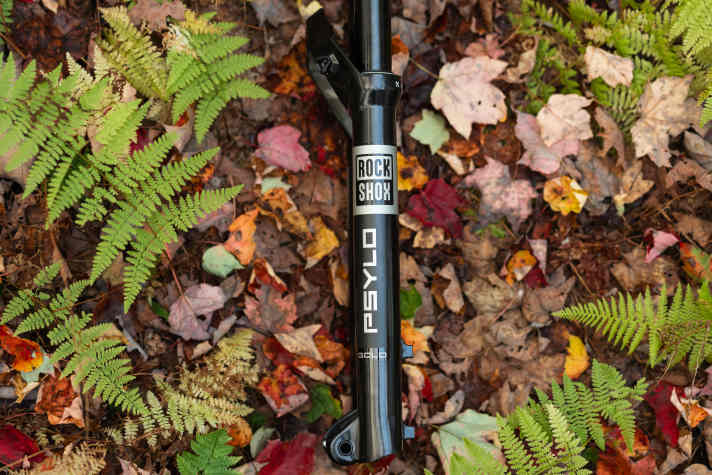 The Psylo Gold RC is the top model in the range and costs 645 euros.