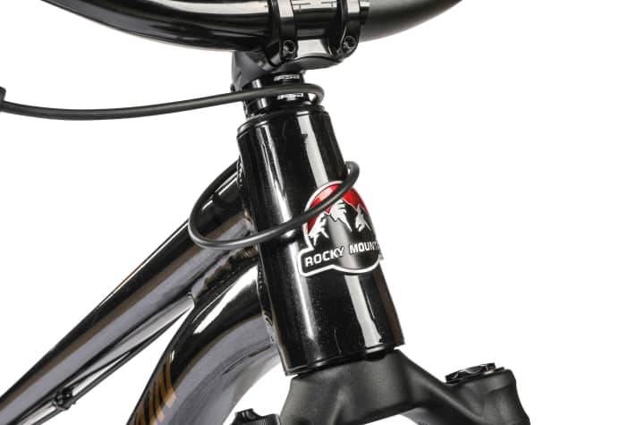 This head tube badge alone suggests a painful price for the Flow. Contrary to expectations, however, the Rocky remains competitive.