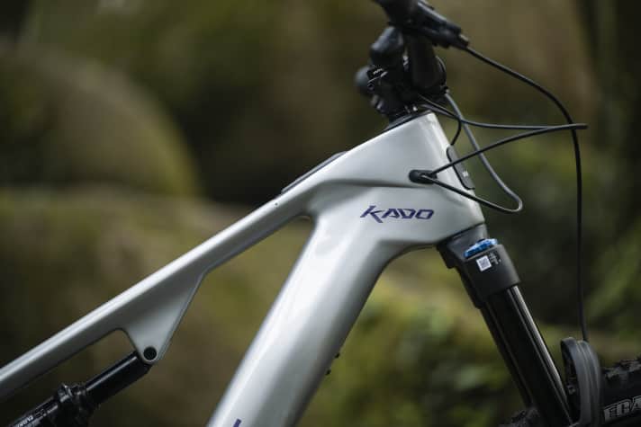 Schrauber wird’s freuen: Die Zügen laufen klassisch am Steuerrohr ins Innere des Hauptrahmens.