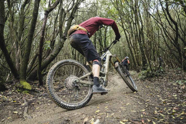 The Canyon Torque:On CF is not a bad climber. However, tricky climbs are not the big bike's speciality.