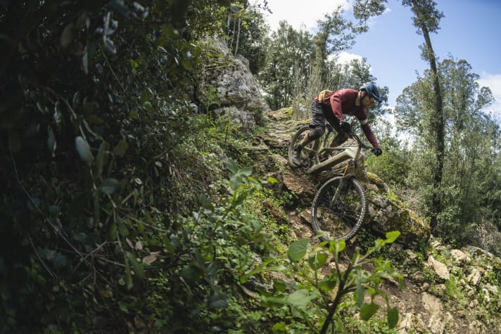 Rumble, rumble, rumble! Stones, rocks, ledges - this is where the Canyon Torque:On CF feels right at home. More of it!