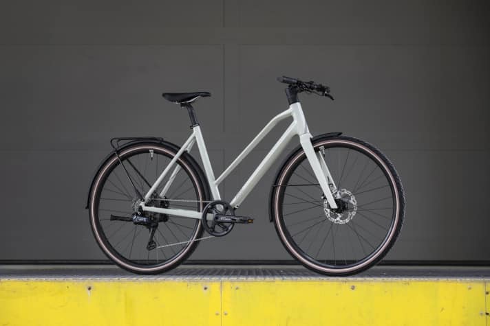 Rose Sneak 3 EQ: chain drive // 13.9 kilos // 2,399 euros.