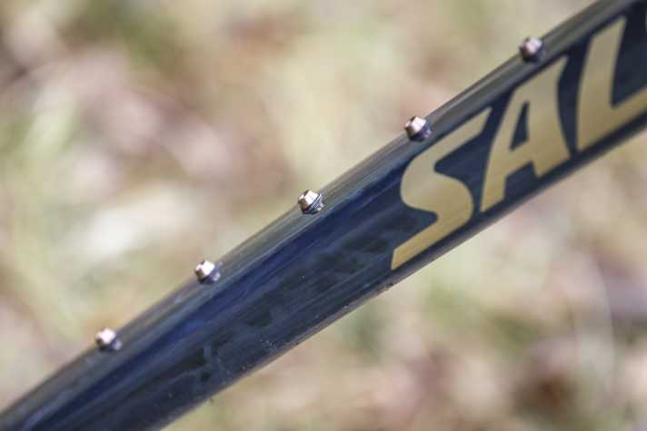 Flaschenhalter-Aufnahmen satt: In den Rahmen des Salsa Spearfish passen bis zu drei Trinkflaschen.