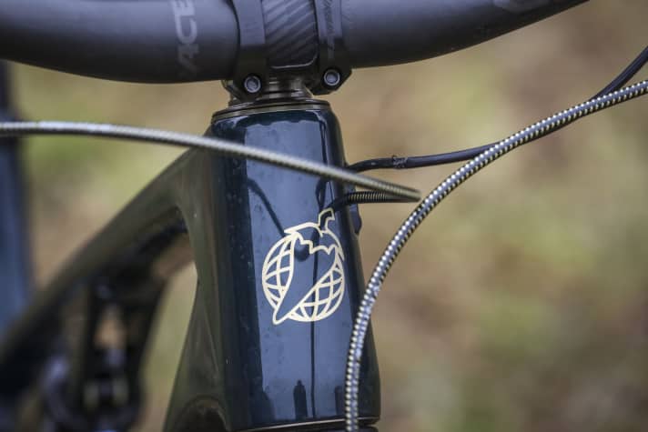 Charisma in abundance: The Salsa Spearfish is an exotic bike with built-in riding fun.