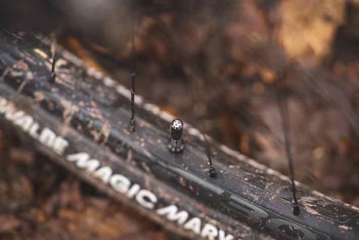 Im Tubeless-Setup liefern die Schwalbe Magic Mary Reifen mit Radial-Karkasse eine große Portion Traktion.