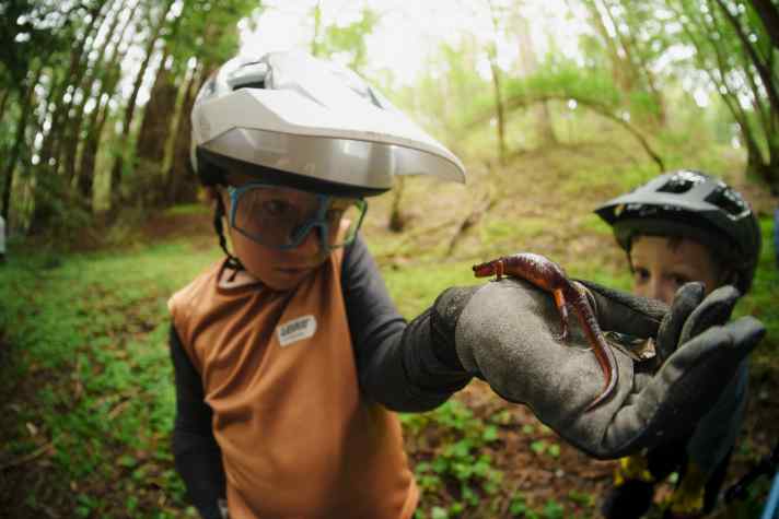 Mountain biking is a fun way to explore the surrounding countryside. Children always have their eyes open for plants and animals.