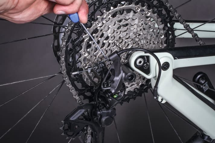Adjusting the gears, changing the chain: The BIKE Workshop Special shows the most important work step by step.