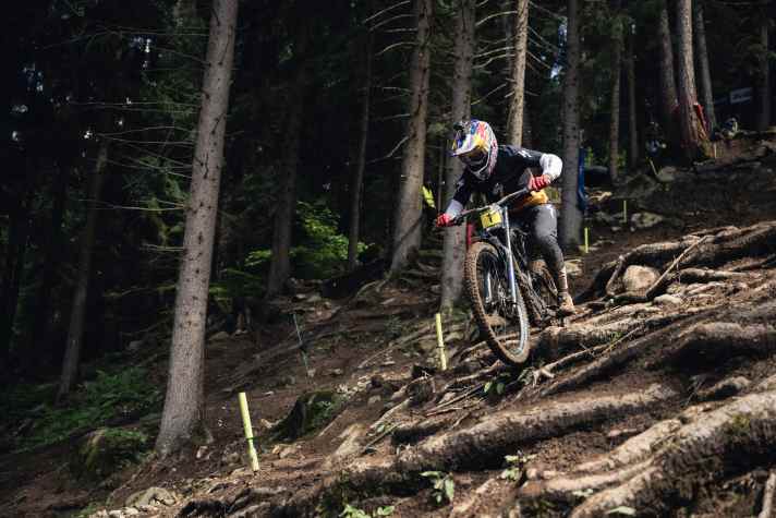 Wurzeln überall, doch über welche Wurzeln rollt der Racer am schnellsten? Line-Coaches haben das Auge dafür und geben Tipps. Hier steuert Loic Bruni in Val di Sole sein Specialized Demo den Hang hinunter.
