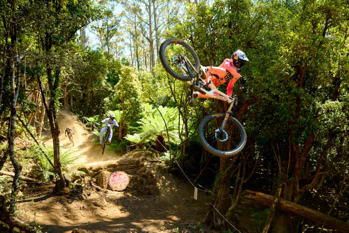 Our tip for the winner: Jacko Goldstone. Here at the picture book Motowhip.