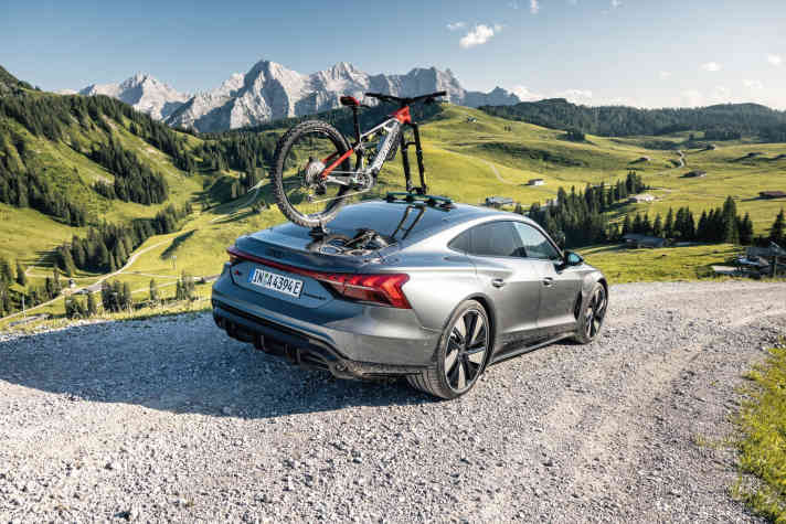 Porte-vélos de Tree Frog