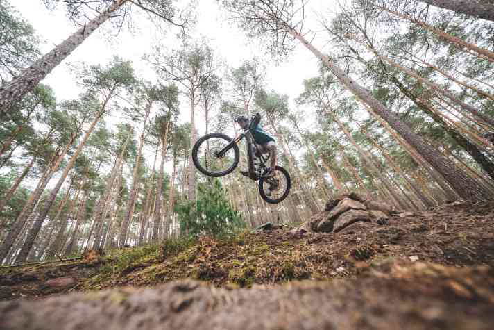 Solide Reifen und ein potentes Fahrwerk verleihen dem neuen Levo Souveränität.