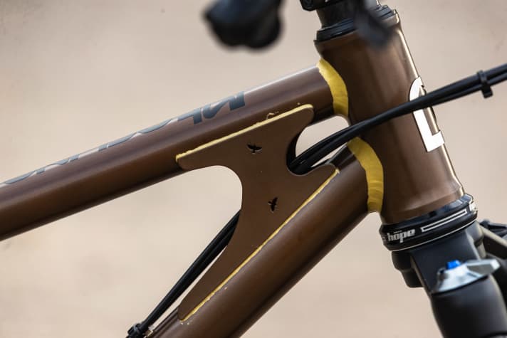 Charismatischer wird’s nicht: Gusset mit Star-Cuttouts am Starling Murmur DownCountry Edition.