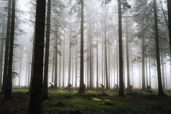 Die Ruhr entspringt bei Winterberg im Hochsauerland. Von hier aus muss man nur dem Höhenweg bis zur Ruhr-Mündung in den Rhein folgen. Mit erstaunlich viel Grün im Ruhrpott!