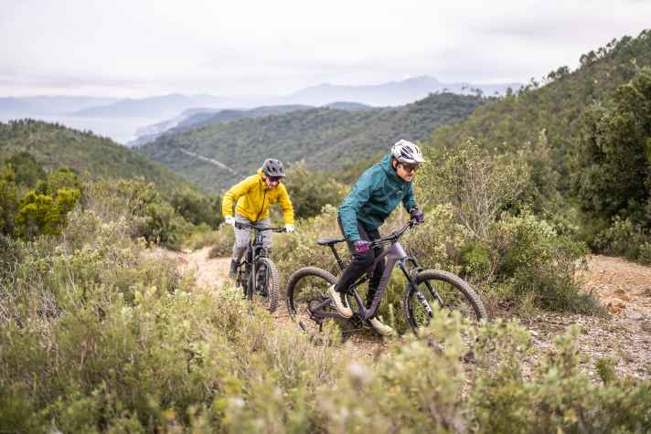 Easy going uphill: With the carbon chassis, Canyon lays the foundation for a good overall weight. Paired with the lightest wheels, it is easily enough for the best value: 13.67 kilos without pedals.