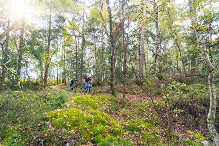 No 8 thousand on the doorstep? But maybe 16 five-hundreds (even if the pun would be broken).