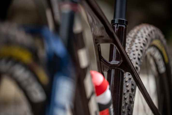 The IsoBow seat stays on the new Trek carbon hardtail only enter the top tube before the seat tube.