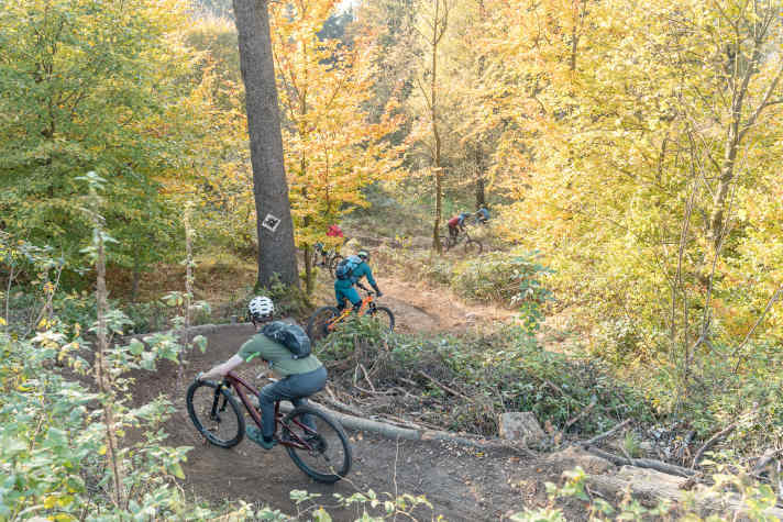 Die Uppertrails rund um Linz werden ehrenamtlich gebaut, stehen das ganze Jahr über offen - und: dürfen kostenlos genutzt werden!