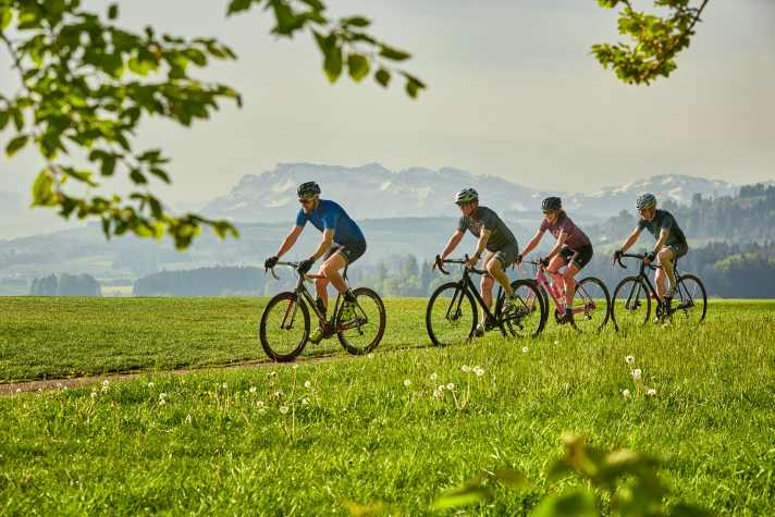 bike/velofahrenjogging-oberhalb-sempachersee-5_06c2fd405a0e440970716e11a832e13e