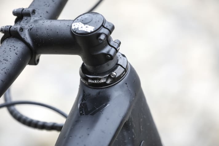 Bis auf den Lenkanschlagsbegrenzer am Steuersatz muss das VPace C4M gänzlich ohne Rahmenschutz auskommen.