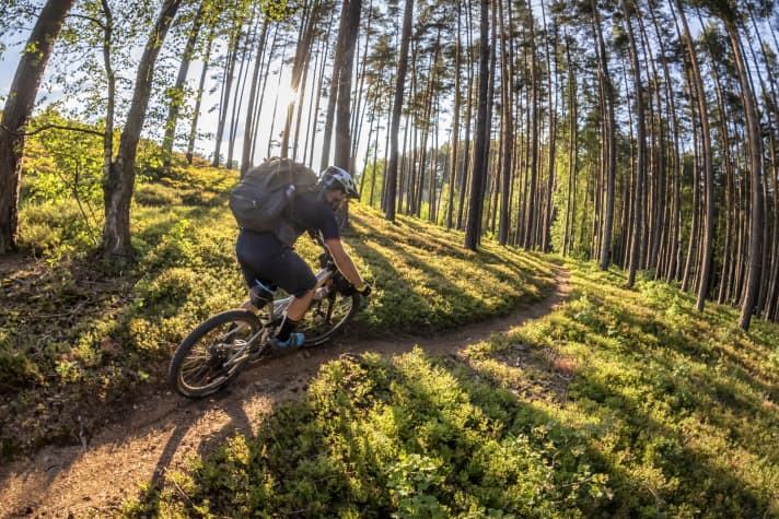 A standardised right of access in German forests would make many things easier.