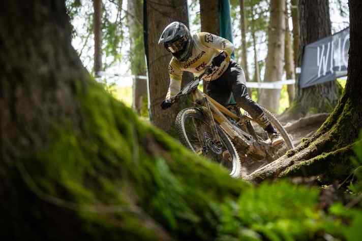 The varied and above all wooded routes in Willingen are completed without prior training. Riding technique and full concentration are required here