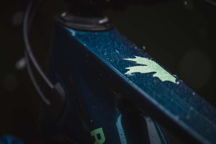 Typisch Rocky Mountain: Das Oberrohr des neuen Altitude Enduros ziert ein kanadisches Ahornblatt.