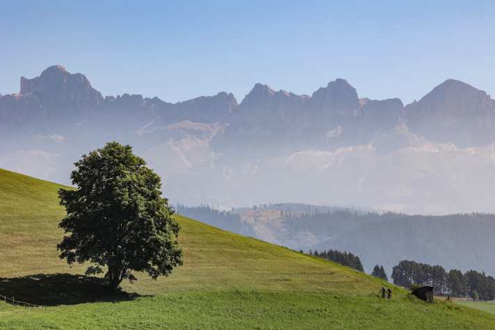 Im Hintergrund König Laurins Reich: der sagenumwobene Rosengarten.
