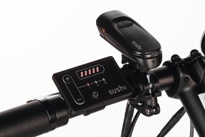 Einfache Technik: Das Bedienteil des Antriebs mit Anzeige von Unterstützungsstufe und Akku-Ladestand. Statt fest installierte Beleuchtungsanlage: Batteriescheinwerfer