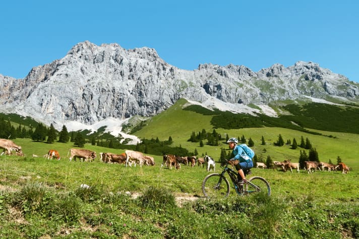 Wetterstein-Impressionen:  Bei der Zugspitze liegt die kitschig-schöne Hochfeldernalm.