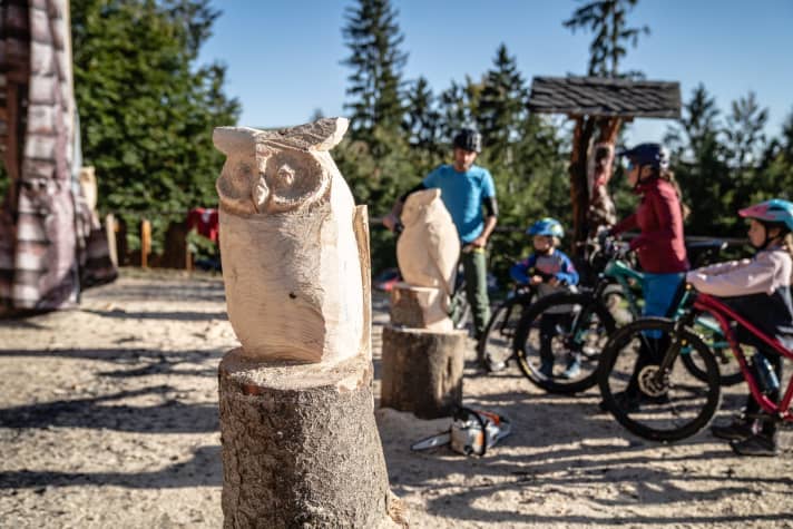 Foto: Denis Stratmann