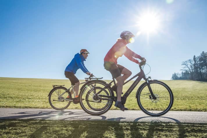 All-rounders can do almost anything. They master journeys between home, work and the supermarket, but also take their driver to the nearest swimming lake without complaint.